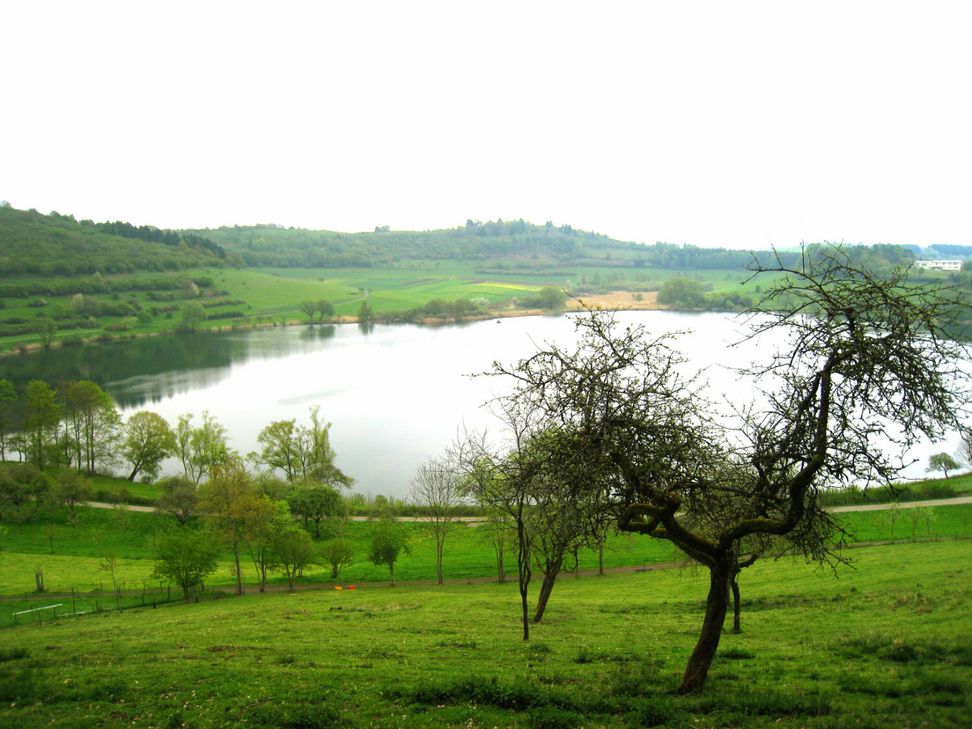 Morbid schön: Das Schalkenmehrener Maar, auch Totenfelder Maar genannt.