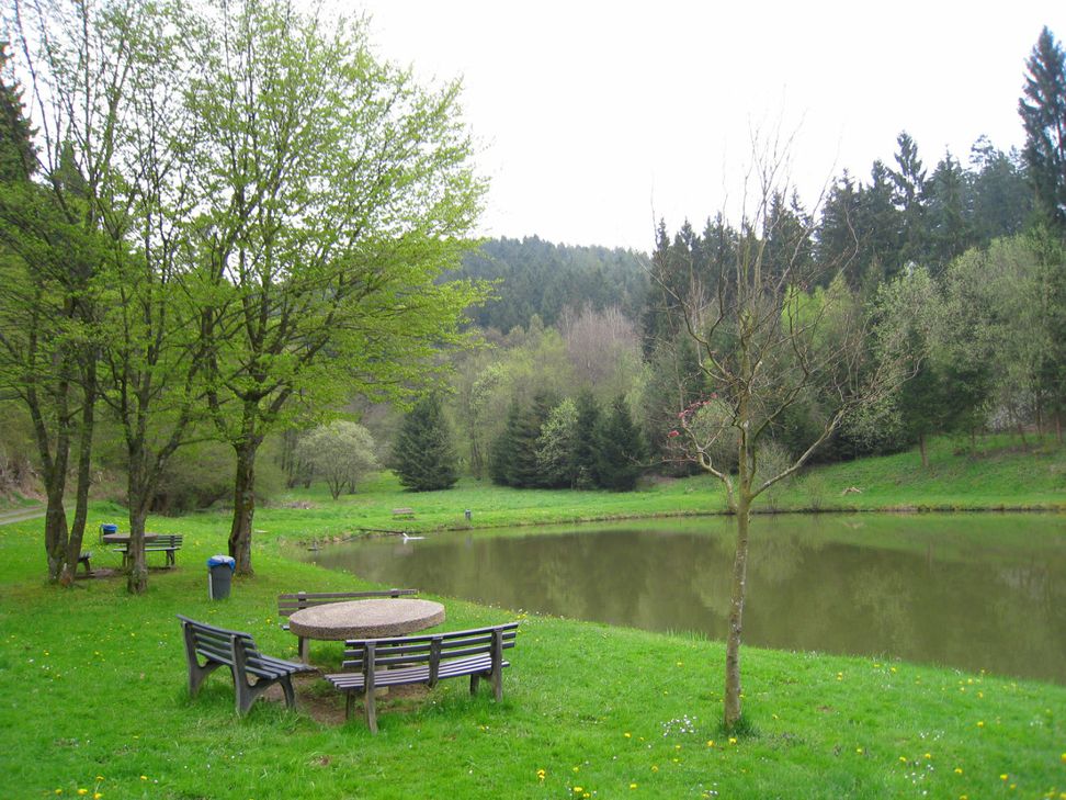 Start der Tour ist am Weiher bei Trittscheid.