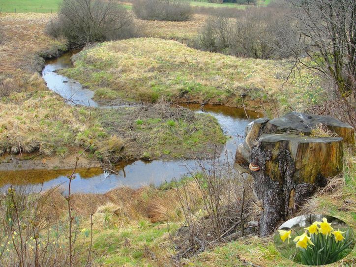 Die Wanderung führt zur idyllischen Holzwarche.