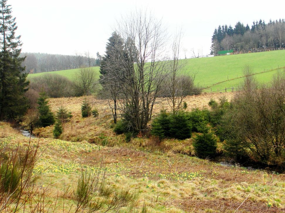 Die Wanderung führt zur idyllischen Holzwarche.