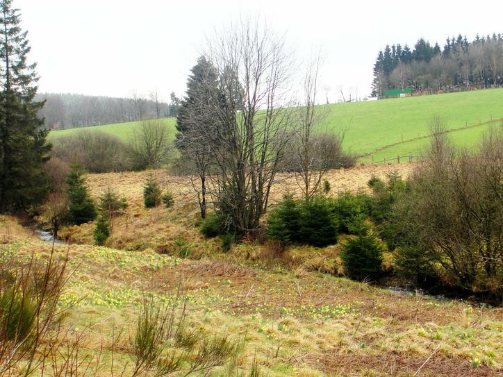 Die Wanderung führt zur idyllischen Holzwarche.