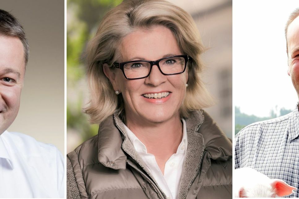 Gordon Schnieder (CDU), Astrid Schmitt (SPD) und Marco Weber (FDP) vertreten den Landkreis Vulkaneifel im neuen Landtag.