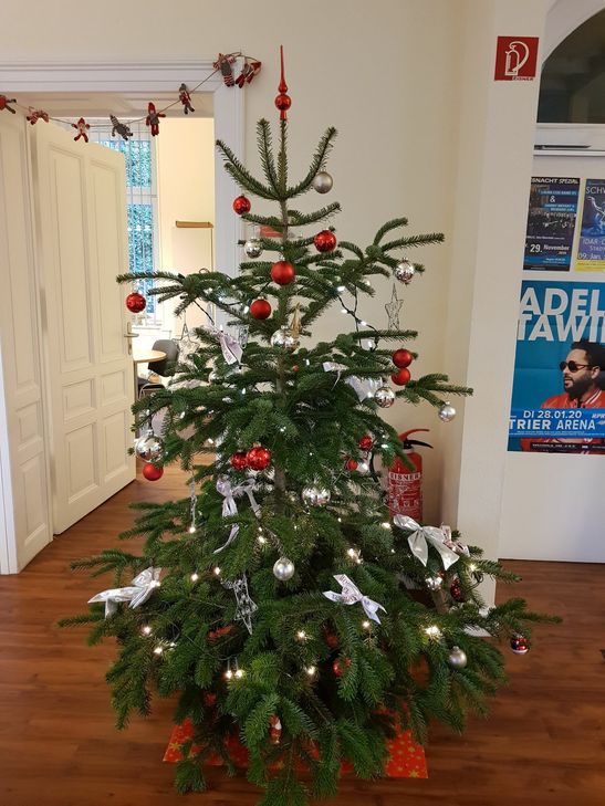 Die ausgedienten Weihnachtsbäume werden in den nächsten Tagen im Stadtgebiet eingesammelt. Foto: Klaus Desinger