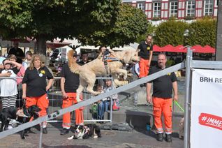 Die Vorführungen auf dem Marktplatz begeisterten das Publikum.