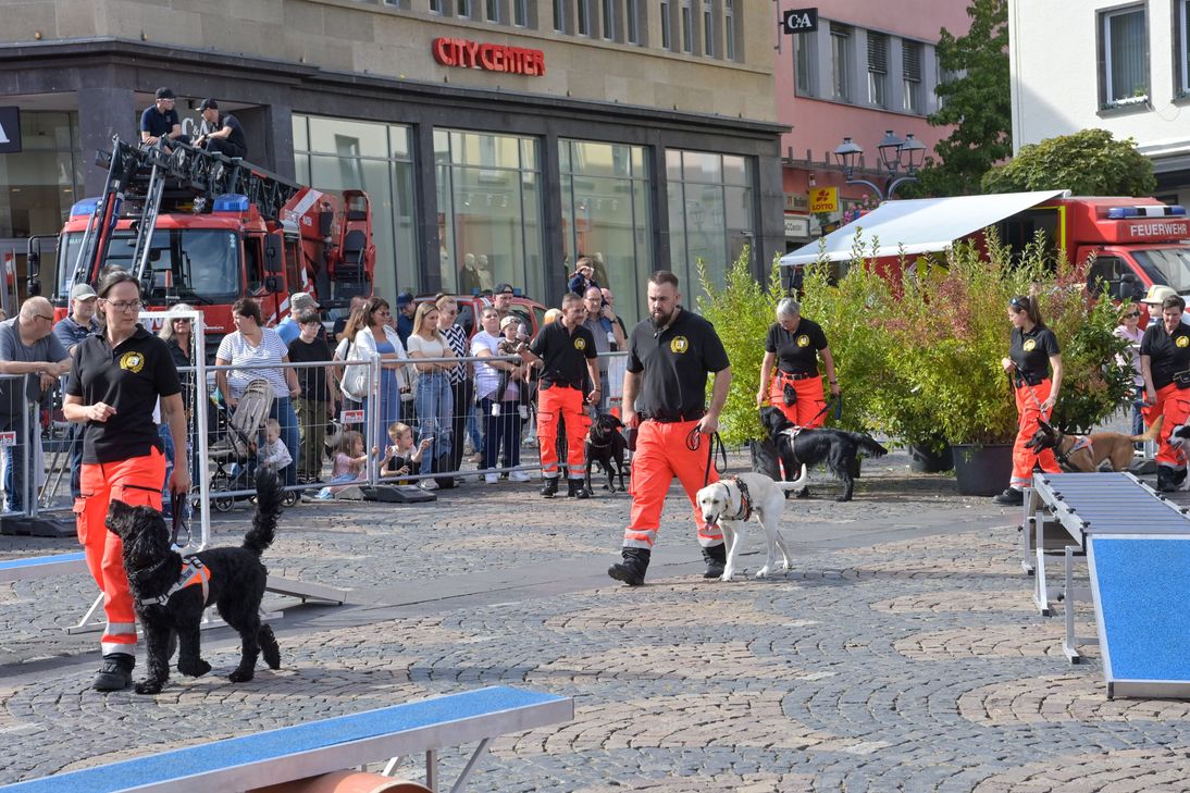 Der Marktplatz verwandeltete sich in eine Blaulichtmeile.