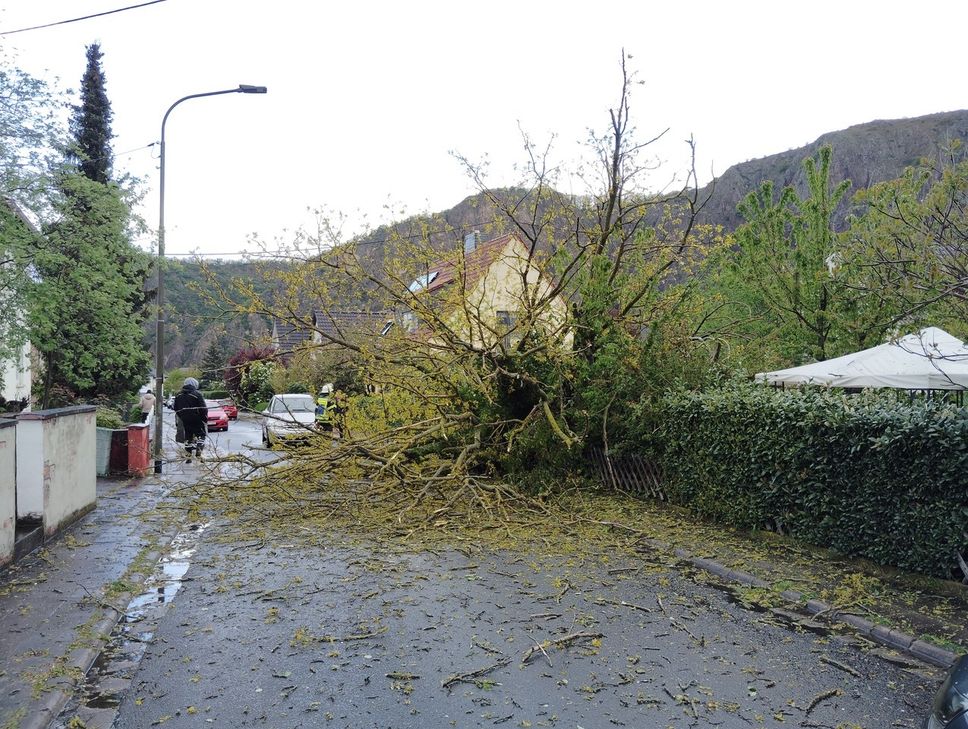 Auch in der Pfalzstraße in Bad Münster mussten die Helfer der Feuerwehr einen umgestürzten Baum beseitigen.