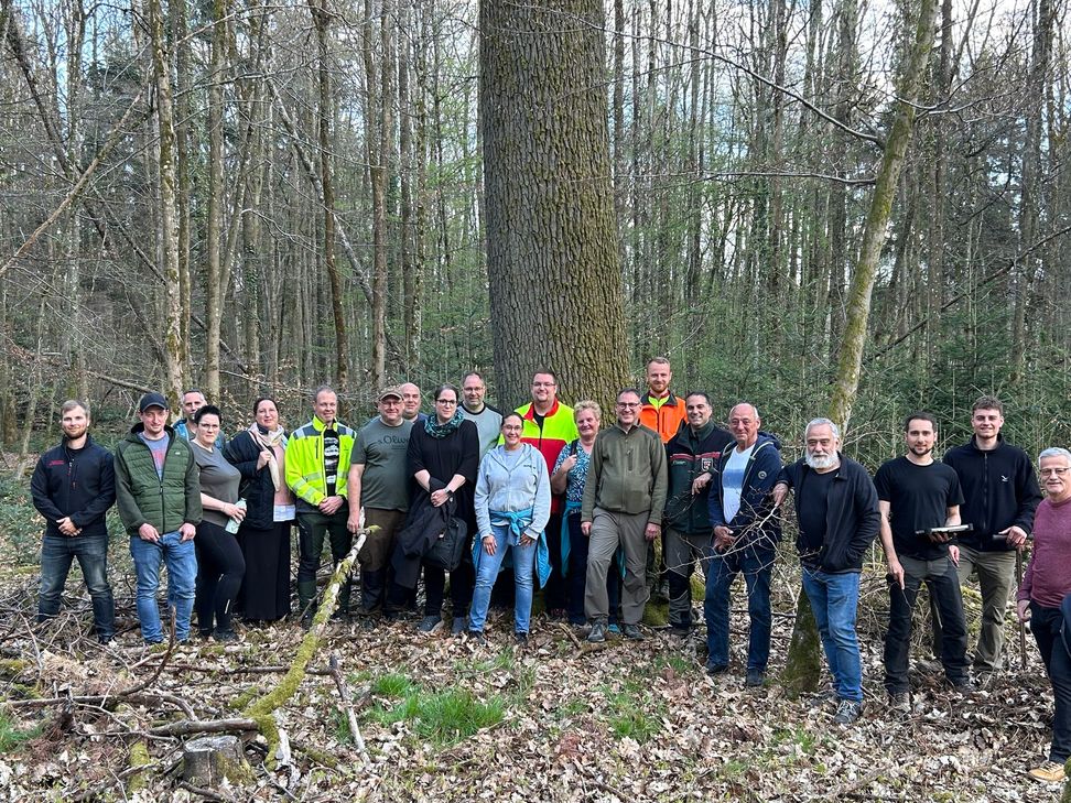 Gemeinsam mit dem Forstplanungsbüro FoNat (Inh. Klaus Remmy) und dessen Mitarbeiter Simon Schmitz, sowie mit dem Revierförster Thomas Grünhäuser ging es an einem frühlingshaften Abend in den Wald der Ortsgemeinde Zemmer.
