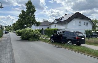 Ein 52-jähriger Autofahrer kollidierte auf dem Hahnerweg (Wittlich) mit einem Baum. Der Blutalkoholwert des Fahrers lag nach angaben der Polizei bei mehr als 1,9 Promille.