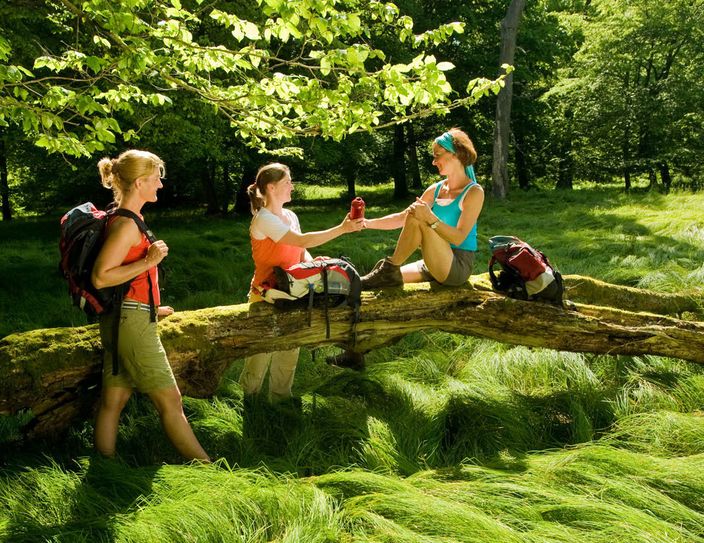 Nach dem Naturschutzgebiet Glashütter Wiesen führt der Soonwaldsteig über weite Wiesenlandschaften durch das Naturwaldreservat Schwappelbruch, wo man die Stille der Natur ungestört genießen kann. Fotos: Dominik Ketz / Rheinland-Pfalz Tourismus GmbH