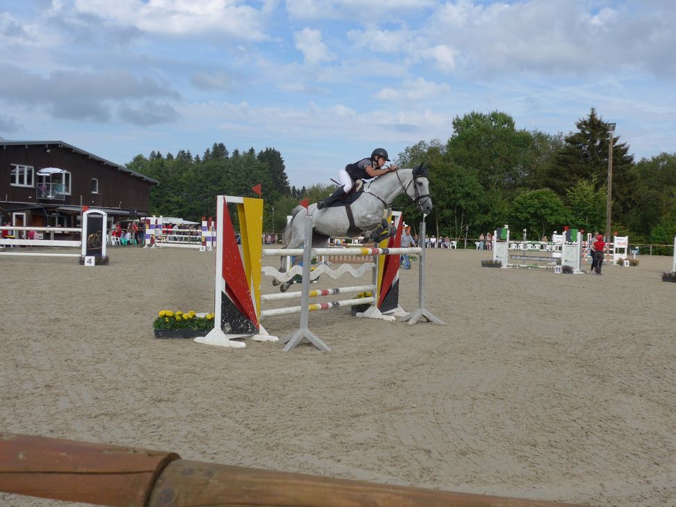 Couragierte Reiter  bieten den Zuschauern spannenden Reitsport auf hohem Niveau.