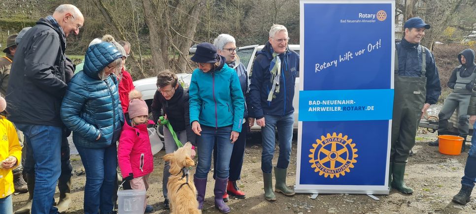 Erfolgreiches Engagement der Rotary Clubs Remagen/Sinzig, Bad Neuenahr-Ahrweiler und Adenau. 12000 Junglachse wurden ausgesetzt.