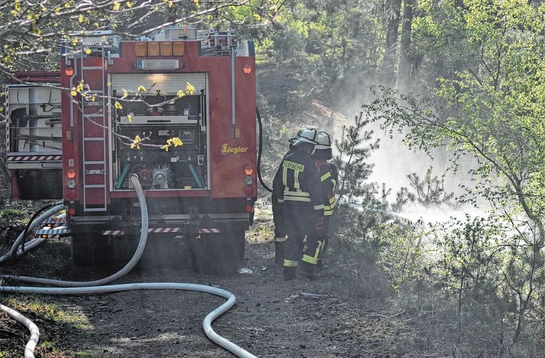 Eine groß angelegte Waldbrandübung wird im Bereich Blankenheim Wald und Milzenhäuschen durchgeführt.