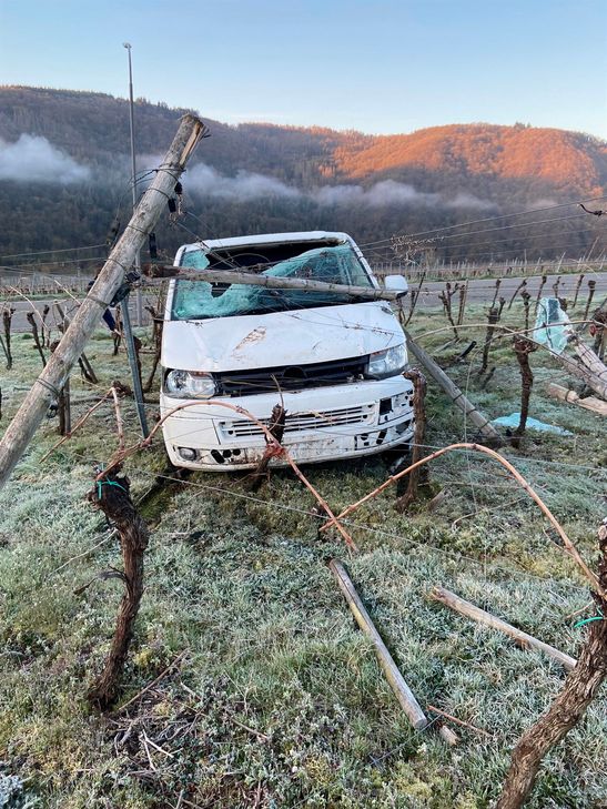 Ein Autofahrer »landete« mit seinem Fahrzeug in einem Weinberg.