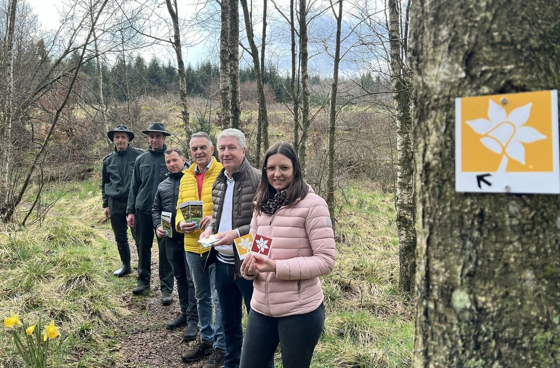 Sie stellten die neu ausgeschilderten Rundwege durch die Narzissenwiesen vor, die durch das Gebiet der Gemeinde Hellenthal und Büllingen führen: Rainer Mareite (v.li.), Christoph Scholzen, Peter Gießeler, Rudolf Westerburg, Friedhelm Wirtz und Julia Schößler. Die Monschau-Touristik hält einen »Narzissenticker« für den Blütenstand im Furths- und Perlenbachtal bereit.
