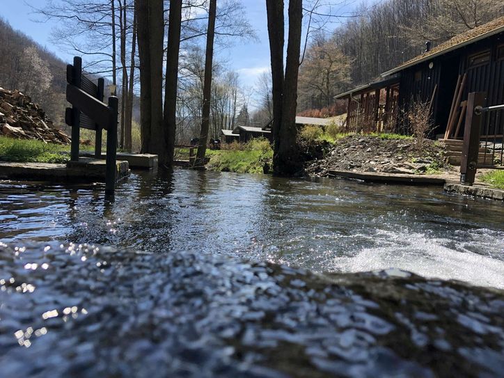 Am Zulauf des Schilsbachtales in die Rurtalsperre haben die Kaulards im Einklang mit der Natur ein Feriendomizil geschaffen, das Natur entdecken und erleben in den Mittelpunkt stellt.