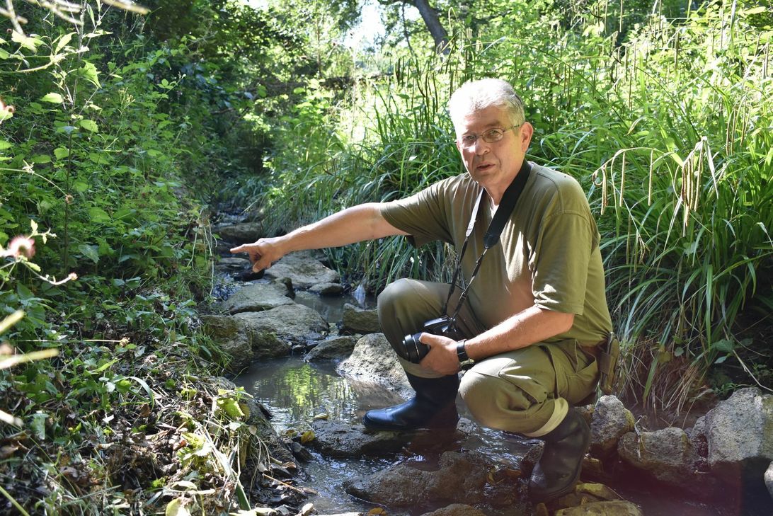 Die Natur sprießt und grünt. Eine Renaturierung des Unkelbachs ist an der vorgesehenen Stelle nicht notwendig, da ist sich Anwohner Walter Jung sicher. Foto: Wicher
