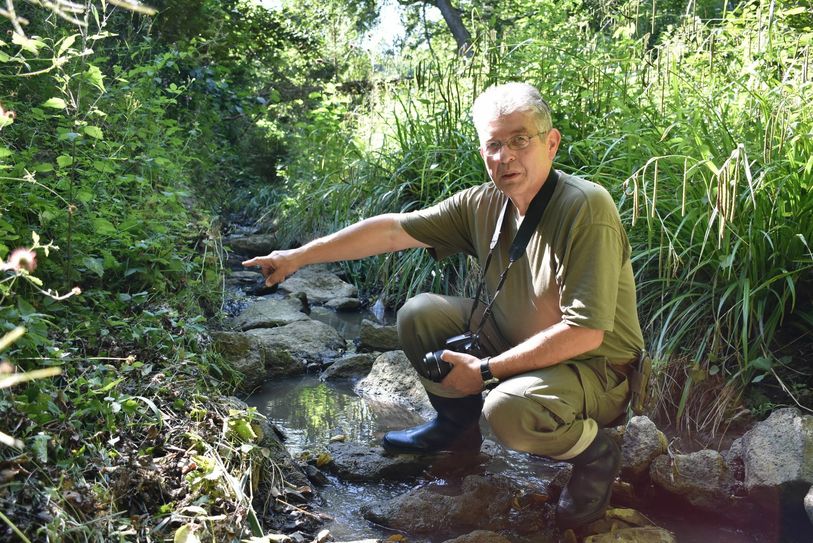 Die Natur sprießt und grünt. Eine Renaturierung des Unkelbachs ist an der vorgesehenen Stelle nicht notwendig, da ist sich Anwohner Walter Jung sicher. Foto: Wicher