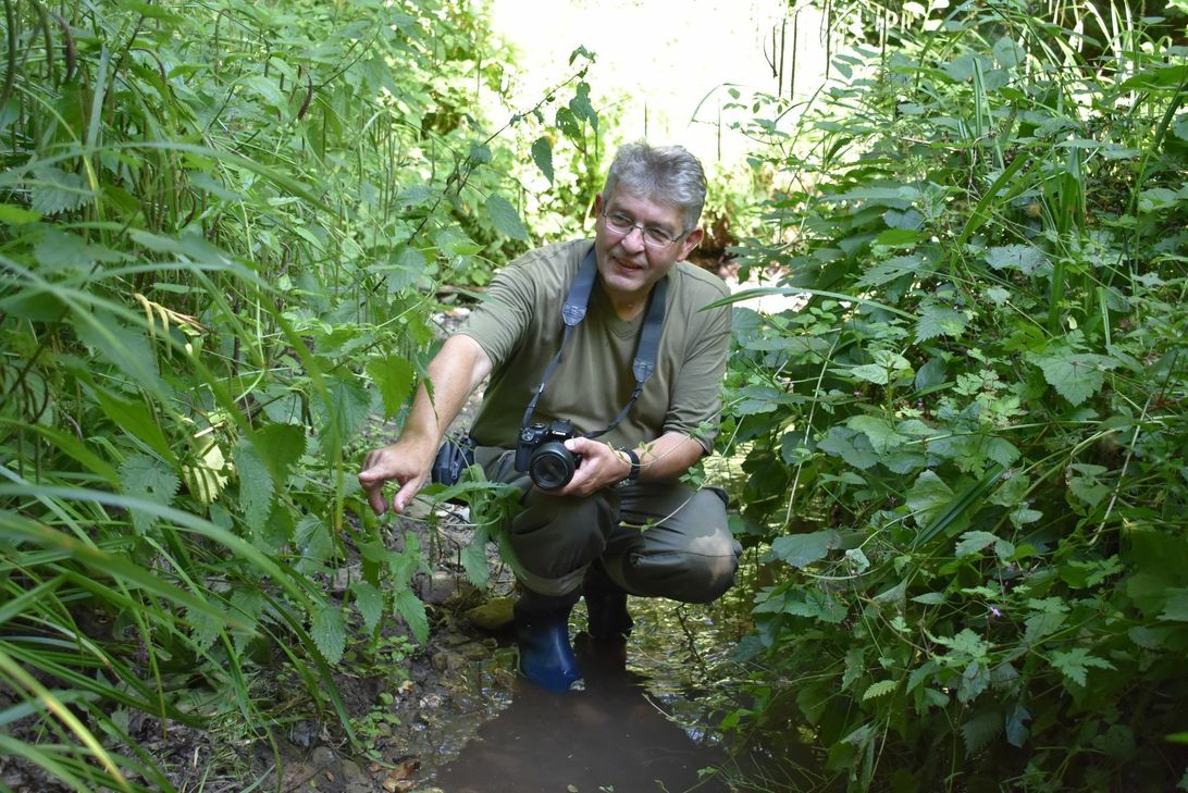 Die Natur sprießt und grünt. Eine Renaturierung des Unkelbachs ist an der vorgesehenen Stelle nicht notwendig, da ist sich Anwohner Walter Jung sicher. Foto: Wicher