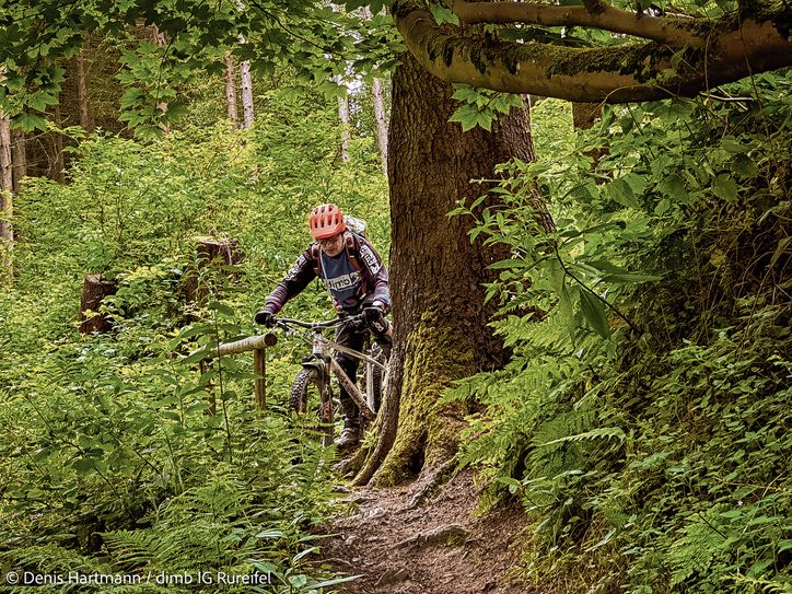 Verschiedene Touren für Jedermann werden ebenfalls am Sonntag angeboten.