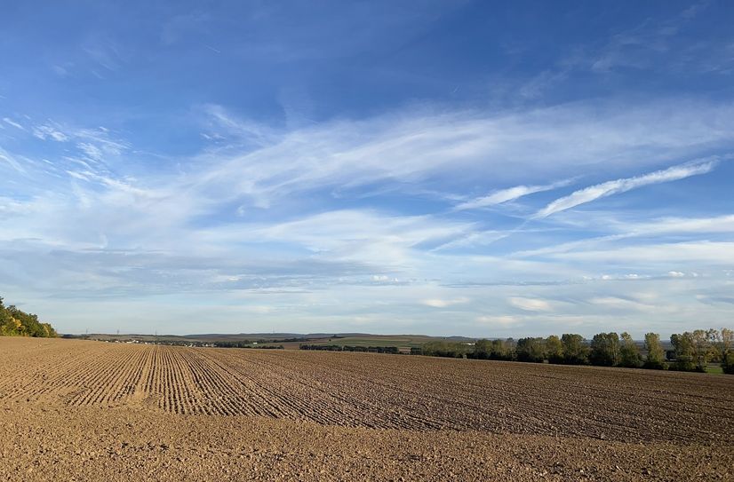 Von der Großstadt München aufs Land: In der Eifel fühlen sich Vera und Thomas Schneevoigt geerdet.