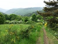 Schöne Graswege mit herrlichen Aussichten.
