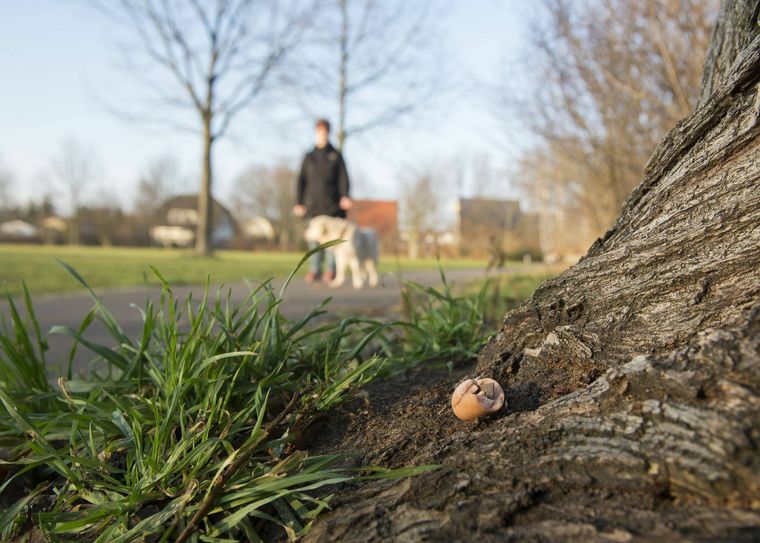 Foto: Symbolbild/Imago