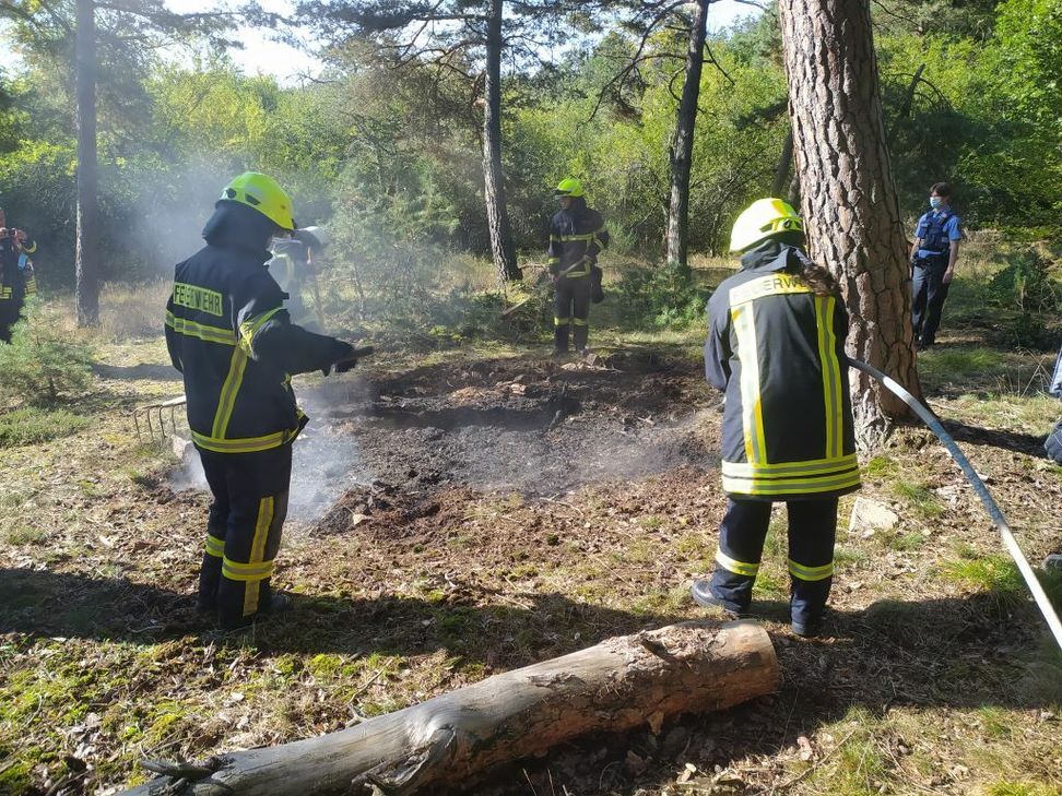 Foto: Landesforsten.RLP.de/Marius Stühlinger
