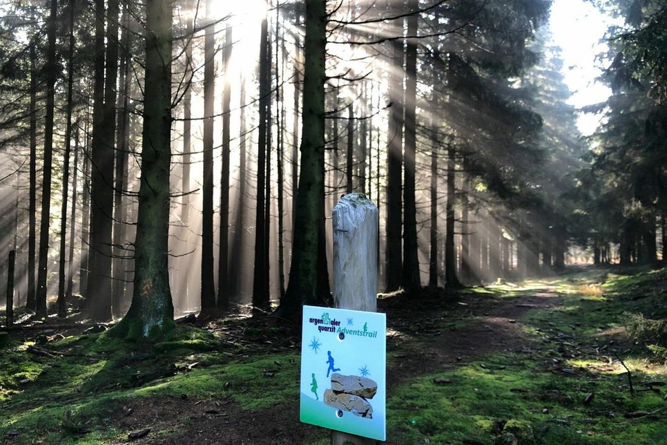 Kurios: Im Waldgebiet bei Argenthal wurden rund 25 Hinweis- und Orientierungspfosten samt Schilder zum Argenthaler Quarzit Adventstrail gestohlen. (Foto: LLG Hunsrück)
