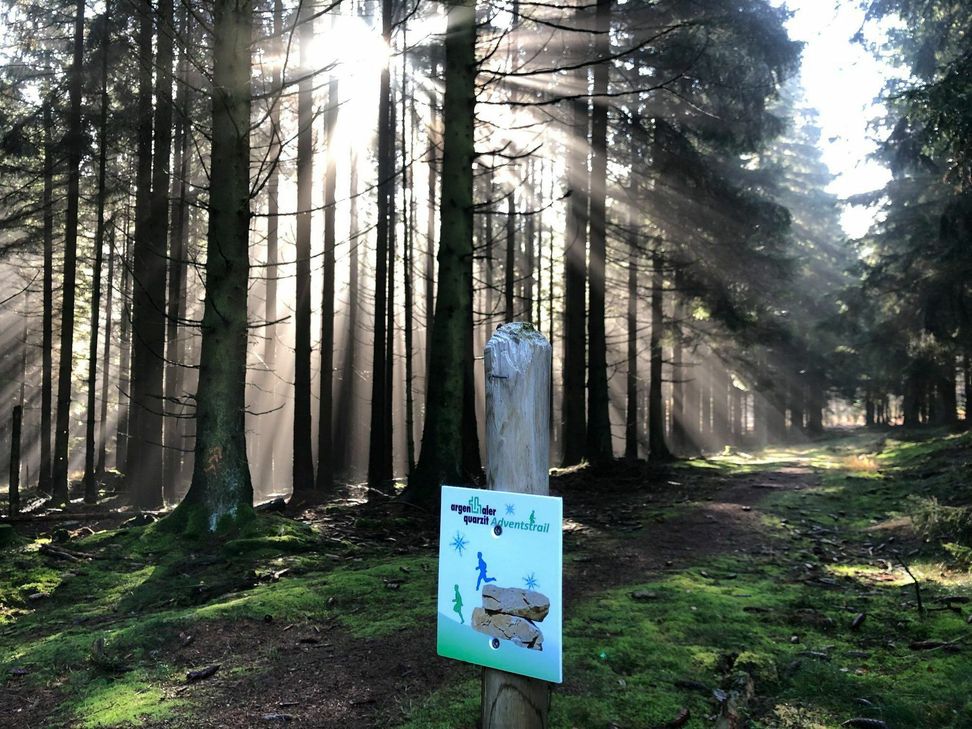 Kurios: Im Waldgebiet bei Argenthal wurden rund 25 Hinweis- und Orientierungspfosten samt Schilder zum Argenthaler Quarzit Adventstrail gestohlen. (Foto: LLG Hunsrück)