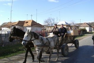 Dier Verteilung der Hilfsgüter erfolgte teilweise mit dem Pferdewagen.