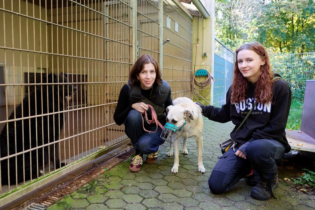 Annette Massing (links) und Tierpflegerin Lea Boehmer  mit einem Bewohner der Hundeanlage.