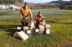 Bis zur nächsten Brutzeit werden vom Bauhof in den kommunalen Grünflächen 30 Fledermaus-Kästen, 15 Vogel-Nistkästen und fünf Florfliegenquartiere aufgestellt.
