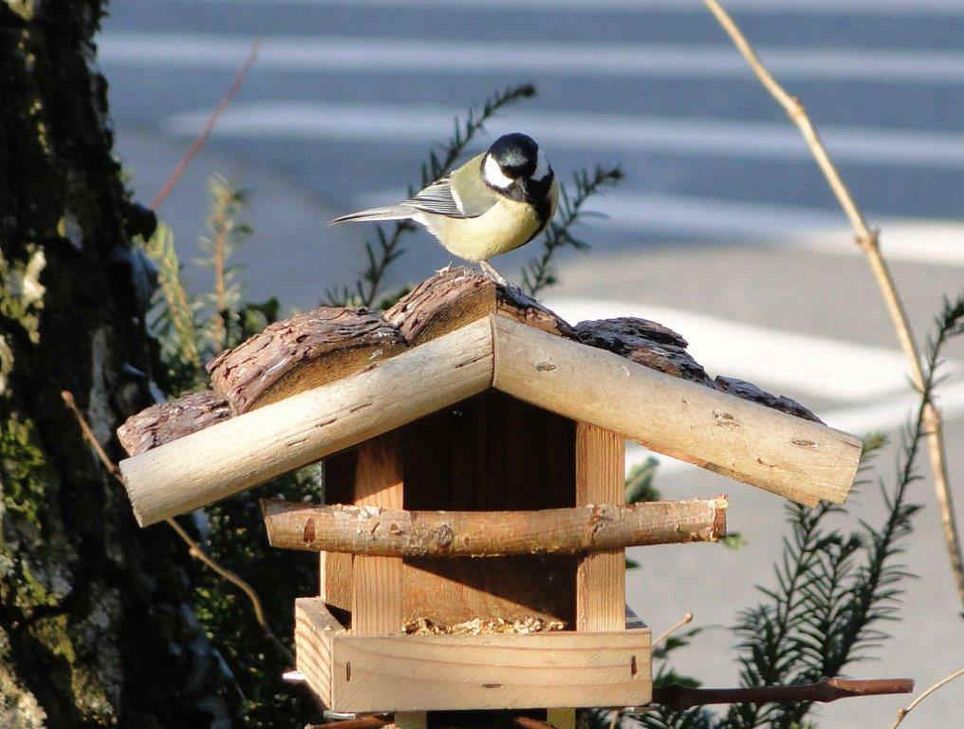 Beim Aufstellen und Bestücken von Vogelhäusern gibt es einiges zu beachten. Foto: WZF GmbH / Jörg Turk