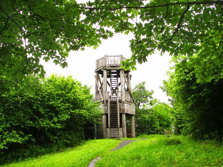 Der Aussichtsturm auf der Dietzenley. Foto: Natur Aktiv Erleben