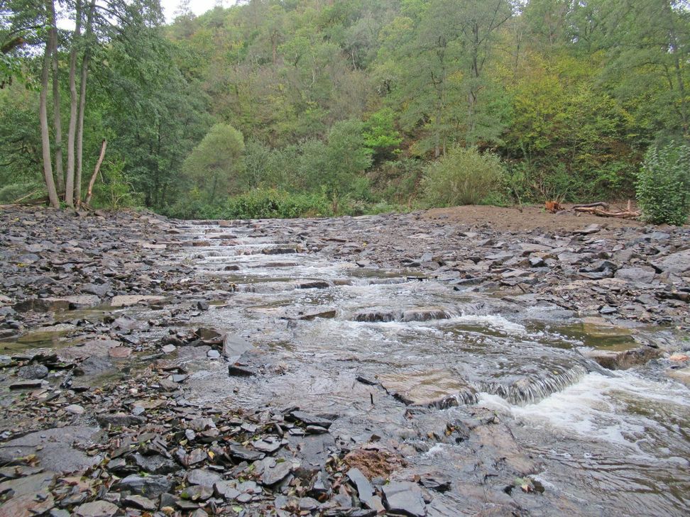 Die sogenannte Sohlengleite bietet nun die Möglichkeit für einen sanften Auf- und Abstieg der Fische im Elzbach.