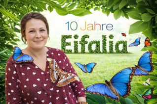 »Ein Traum, der Flügel bekam« – Ulla Große Meininghaus und die bunten Bewohner ihres Schmetterlingsgartens Eifalia in Ahrhütte.