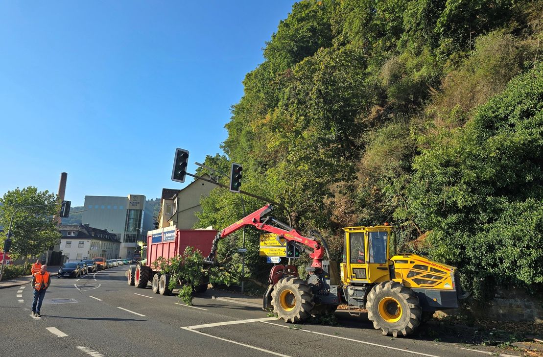 Im Wechsel wurde der Verkehr durch Bauhof- und LBM-Mitarbeiter um die Forstmaßnahmen herum geführt, immer wieder gab es leider lautstarke Auseinandersetzungen.