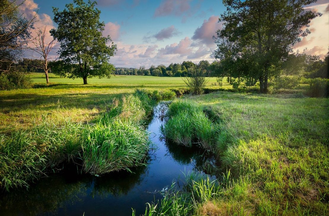 Die Kreisverwaltung des Rhein-Hunsrück-Kreises hat eine Allgemeinverfügung erlassen, um die Wasservorkommen und die damit verbundenen Lebensräume für Menschen, Tiere und Pflanzen in der Region zu schützen.