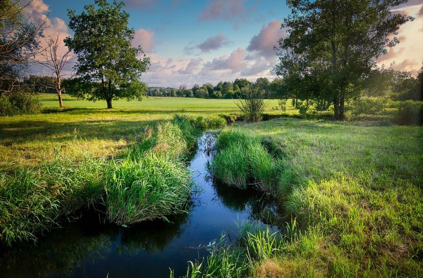 Die Kreisverwaltung des Rhein-Hunsrück-Kreises hat eine Allgemeinverfügung erlassen, um die Wasservorkommen und die damit verbundenen Lebensräume für Menschen, Tiere und Pflanzen in der Region zu schützen.