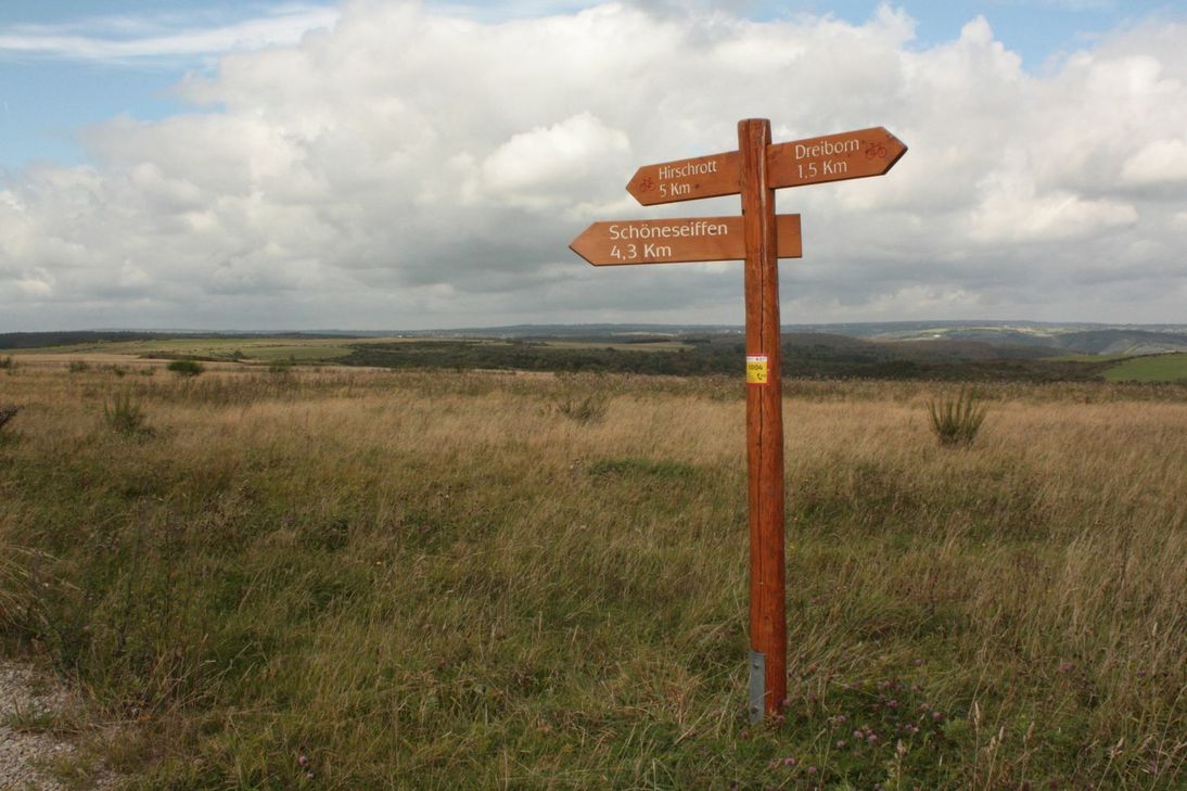 Die attraktiven Weiten der Dreiborner Hochfläche haben sich in den vergangenen zehn Jahren zu einem Publikumsmagneten entwickelt. (Fotos: Nationalparkverwaltung Eifel)