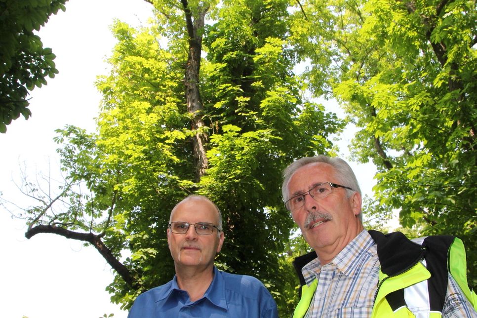 Christof Marx (l.) und Helmut Schmitz bei einem Ortstermin Anfang Juni, kurz bevor die Baumfällarbeiten in der Kastanienallee in Wachendorf starteten. Foto: Thomas Schmitz/pp/Agentur ProfiPress