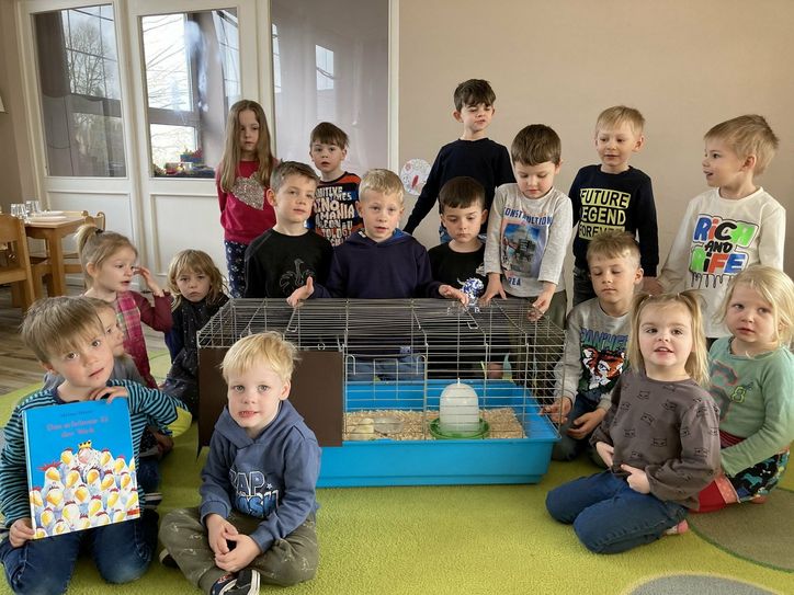 Vier Küken und 16 junge Pflegeeltern in der Rotkreuz-Kindertagesstätte "Rappelkiste" in Herhahn.