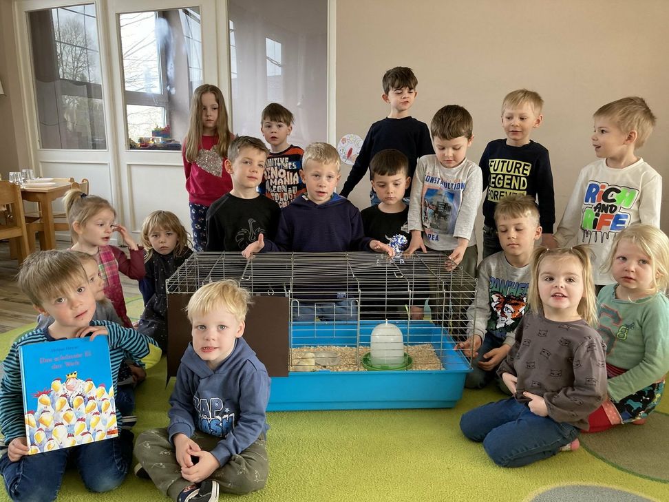 Vier Küken und 16 junge Pflegeeltern in der Rotkreuz-Kindertagesstätte "Rappelkiste" in Herhahn.