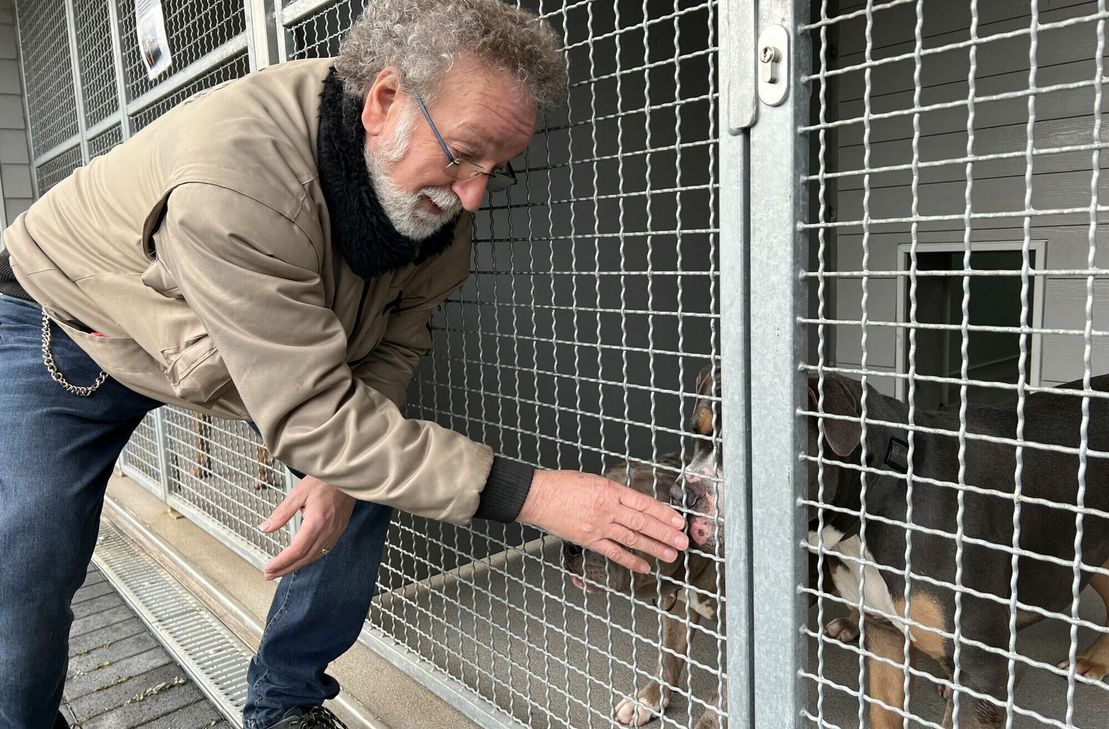 Rainer Bauer hofft, dass durch Vermittlung von einigen Hunden bald wieder mehr Platz im neuen Hundehaus geschaffen wird. Bevor die Tiere freigegeben werden, kann es oft sehr lange dauern.