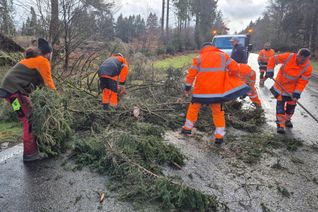 Die Region Trier wurde von heftigen Sturmböen heimgesucht, die für zahlreiche Schäden und Behinderungen sorgten. Insbesondere umgestürzte Bäume machten viele Straßen unpassierbar.
