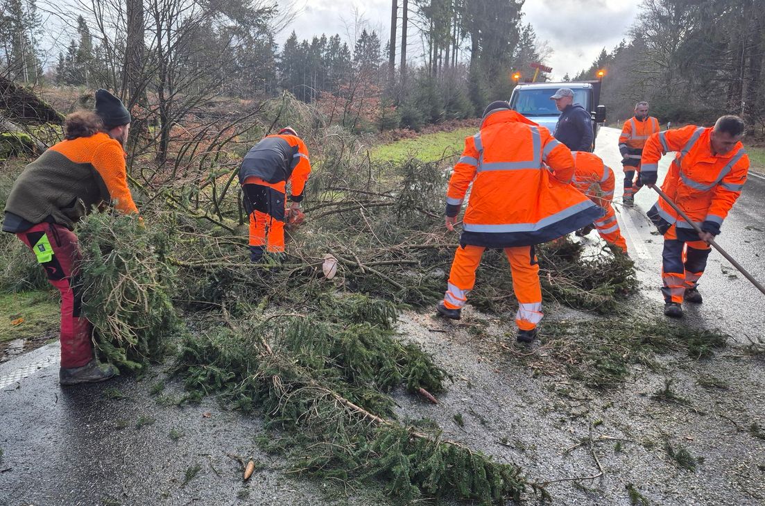 Die Region Trier wurde von heftigen Sturmböen heimgesucht, die für zahlreiche Schäden und Behinderungen sorgten. Insbesondere umgestürzte Bäume machten viele Straßen unpassierbar.
