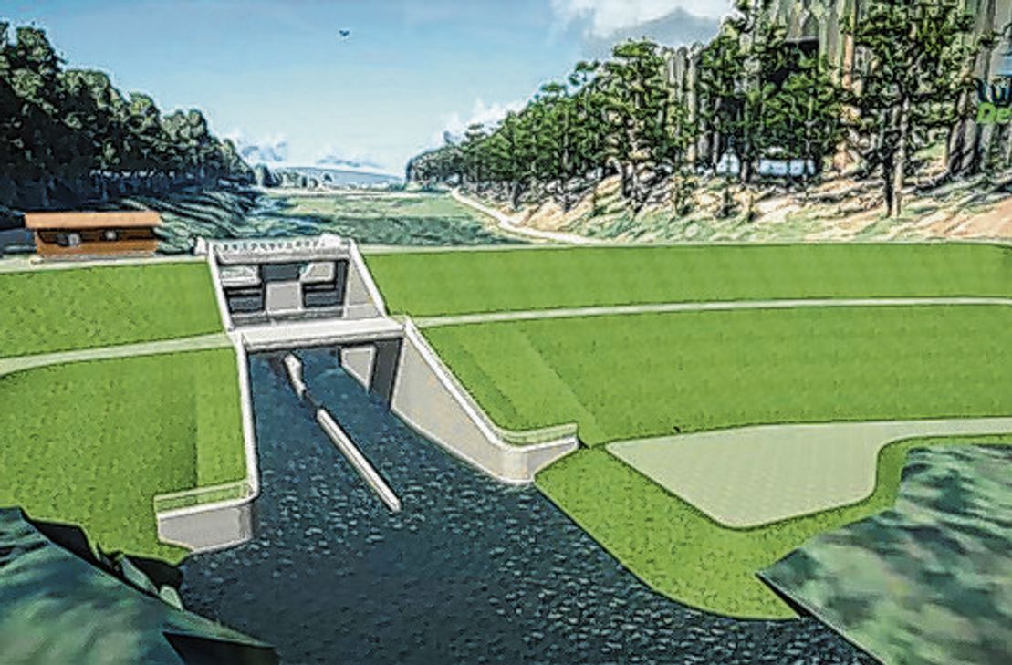 Am geplanten Mulartshütter Becken wurden seltene Moose entdeckt, die umgesiedelt werden müssen.