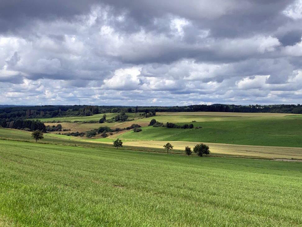 Blick vom Hühnerberg.