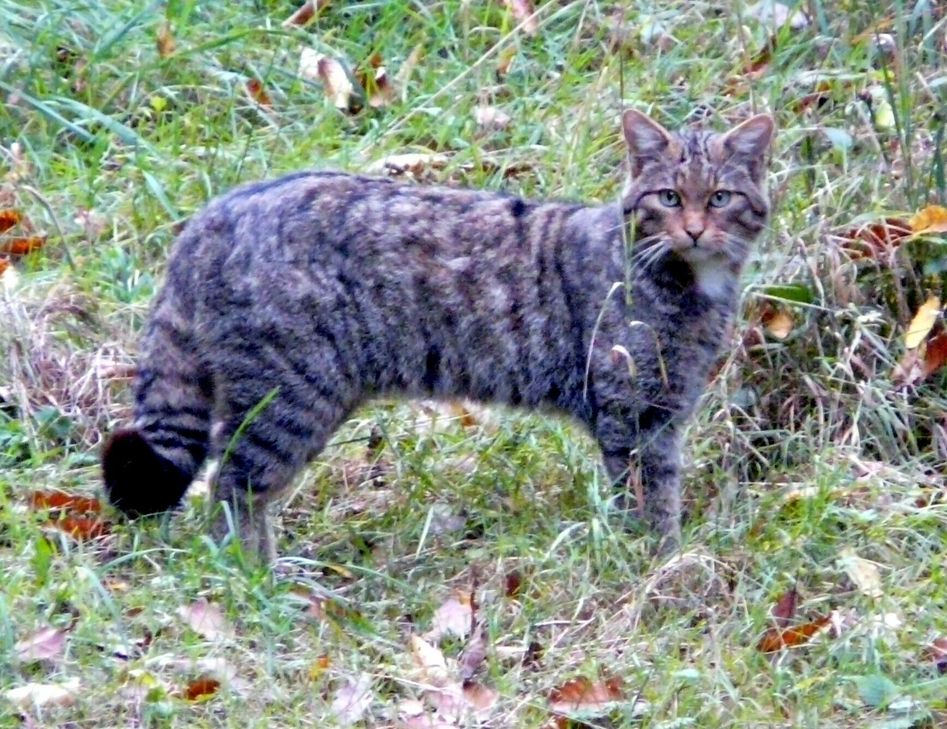 Fotos: privat/Th. Wirtz