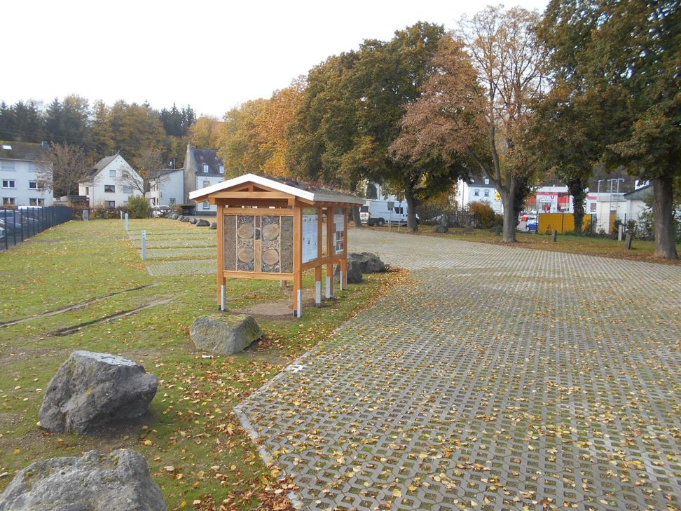 Der Wohnmobilstellplatz auf dem Mayener Viehmarktplatz in der Polcher Straße.